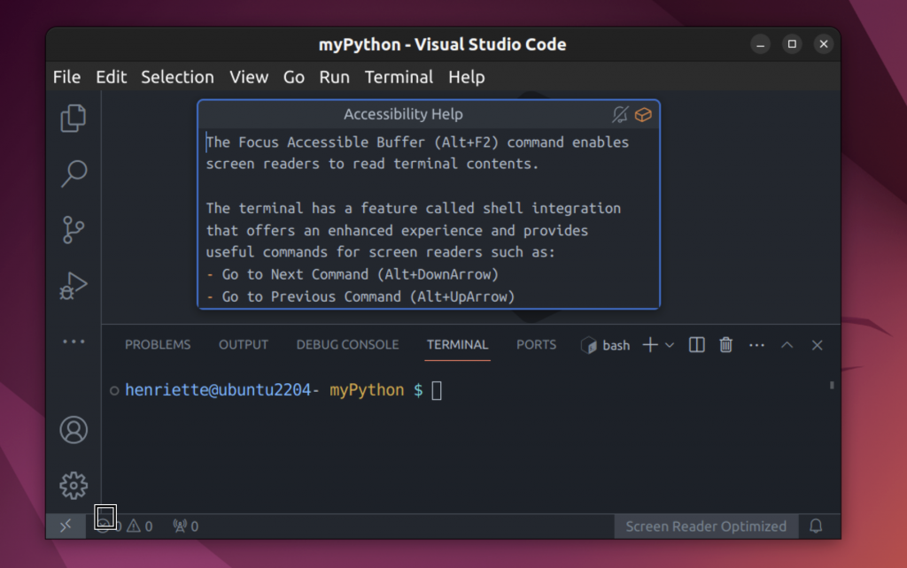 VS Code: Screenshot mit eingeblendetem Popup-Fenster der Accessibility-Help für das Terminal.