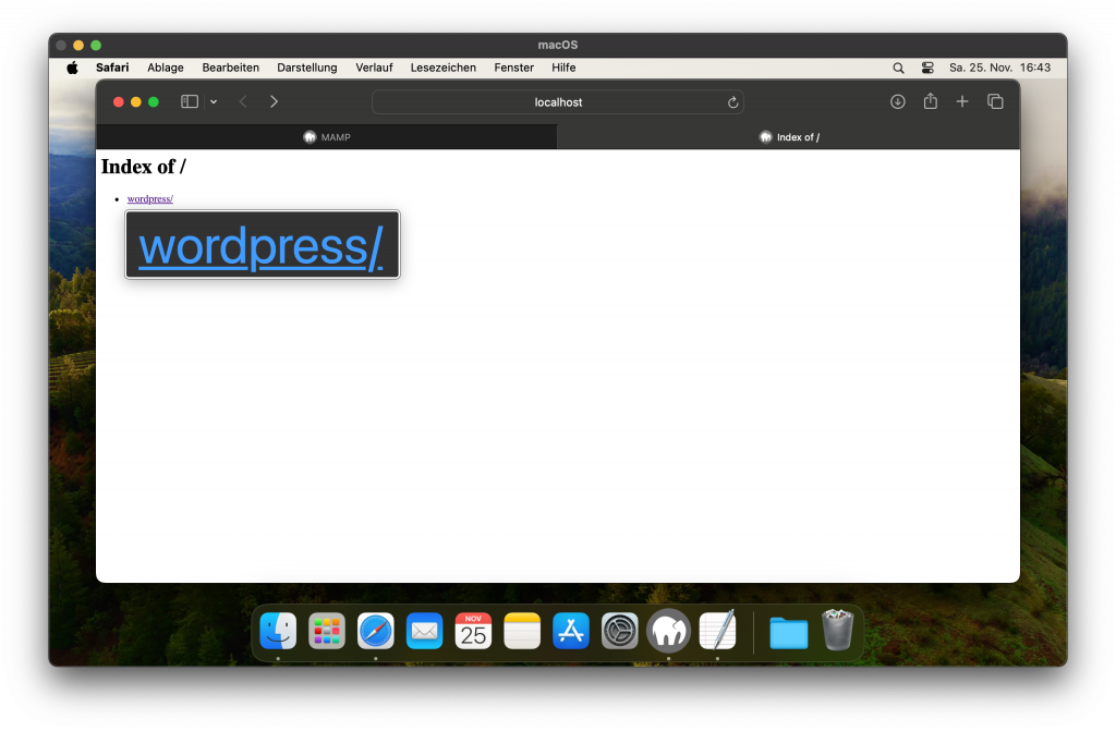 Die Index-Seite in Safari, ein Link mit dem Text "wordpress" wird angezeigt.