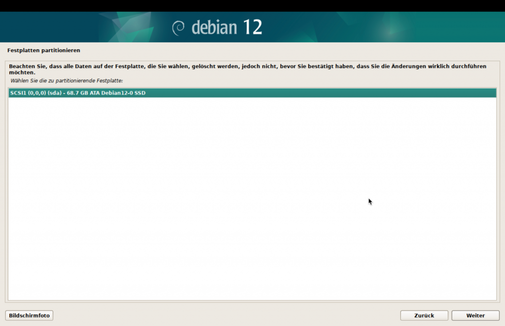 Debian-Installer, Festplatte wählen.